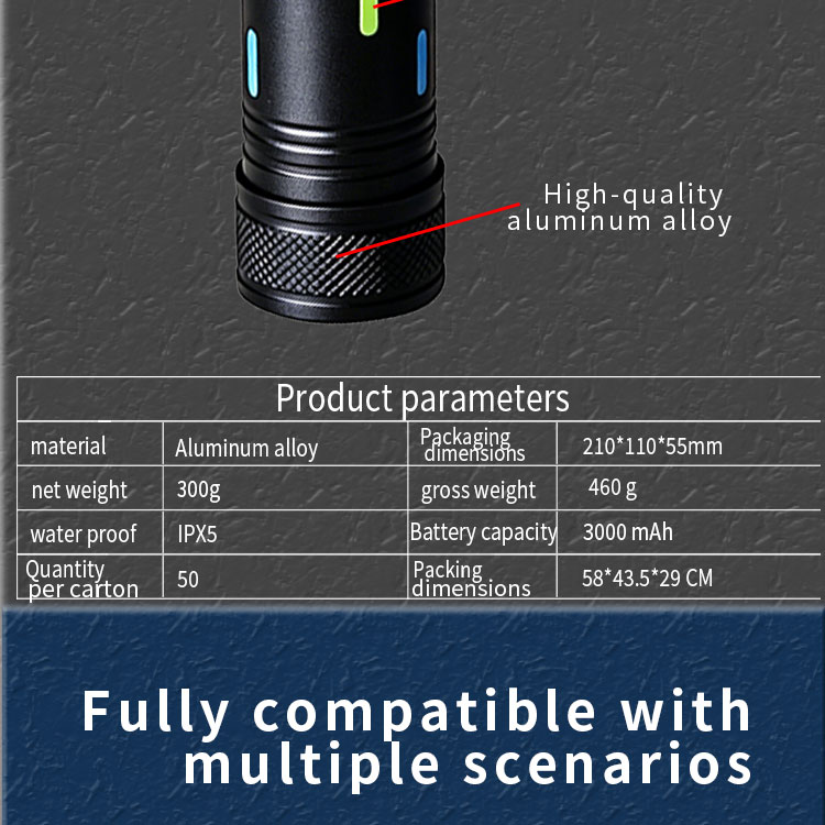 S-P900 Template 2 (English)_07.jpg