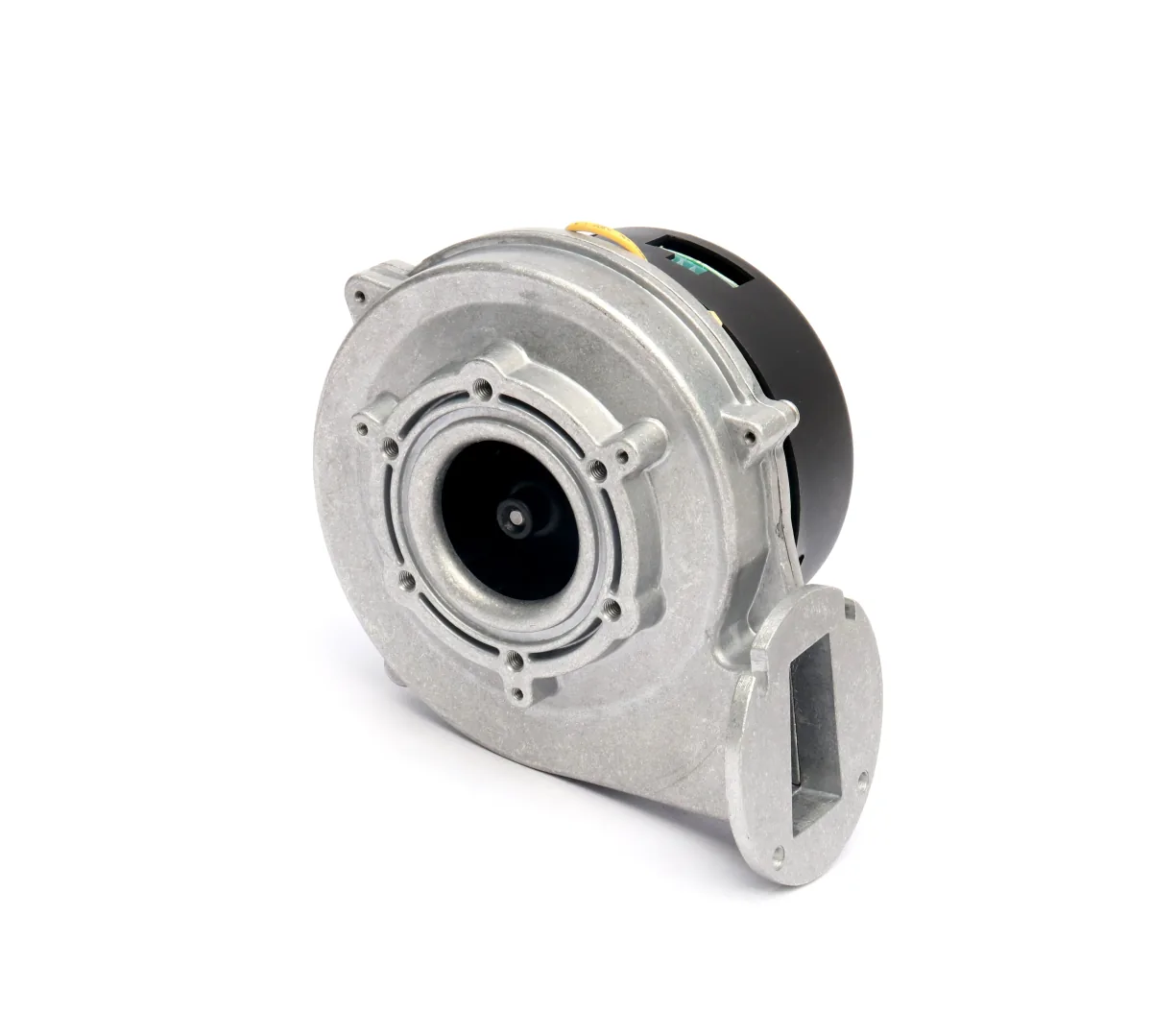 Actual E-POWER D-RG118 EC gas blower photographed on a white background